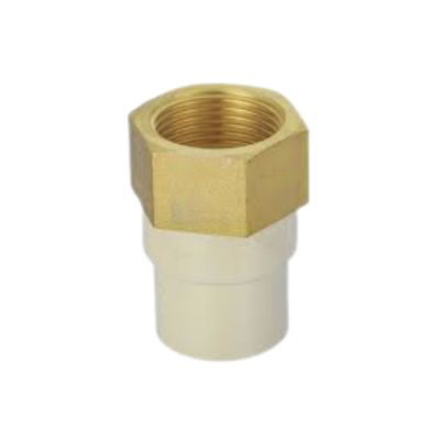 CPVC 3/4" Socket/Coupler