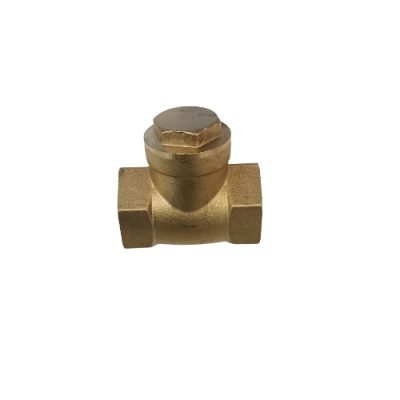 3/4" Swing Check Valve