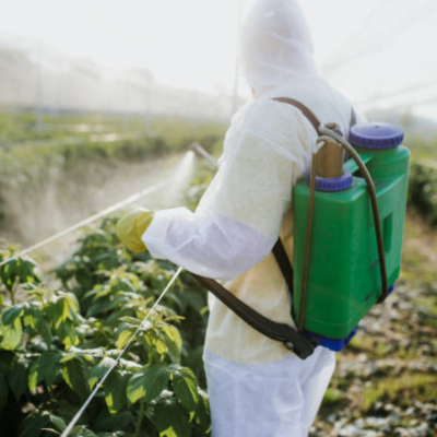 Pesticide & Insecticides