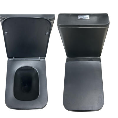 Royal Homes P-Trap Black Toilet #1145